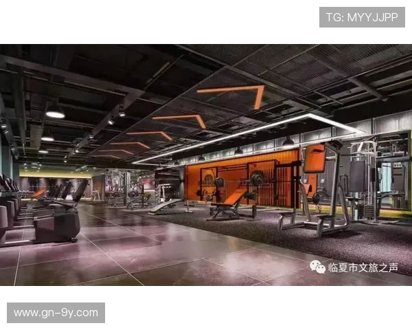 围绕天津隶华足球俱乐部的发展路径与城市足球生态构建新思路